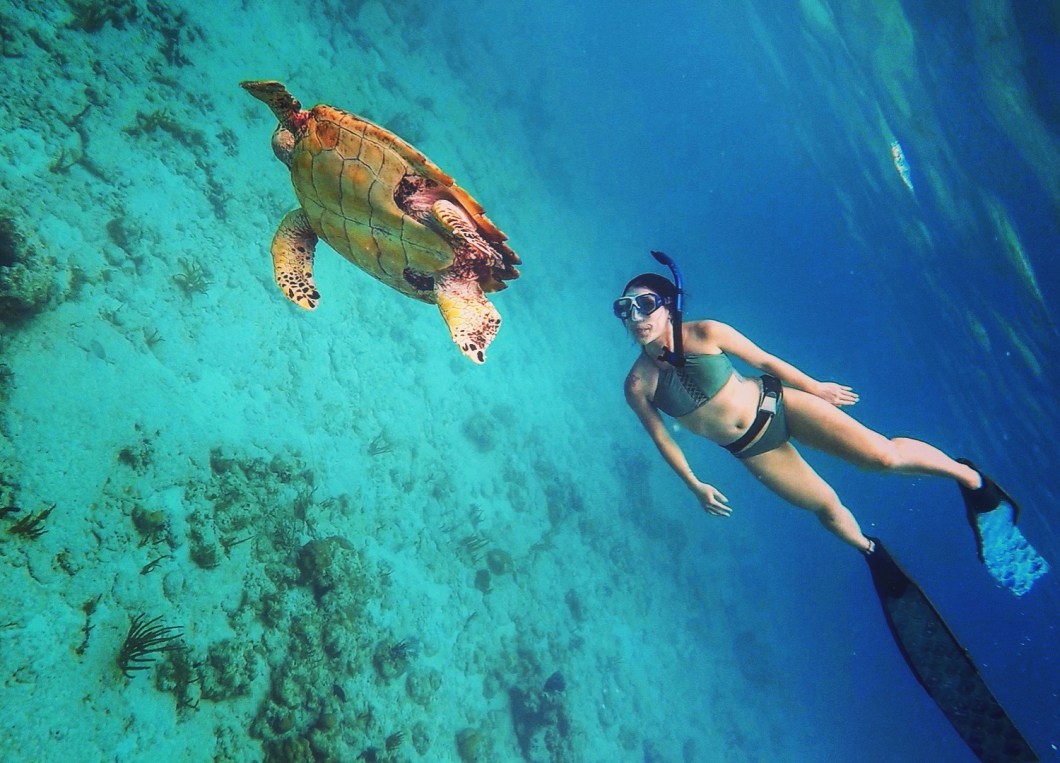 DBA58480-476A-4867-8D7E-3AE13814CC7E