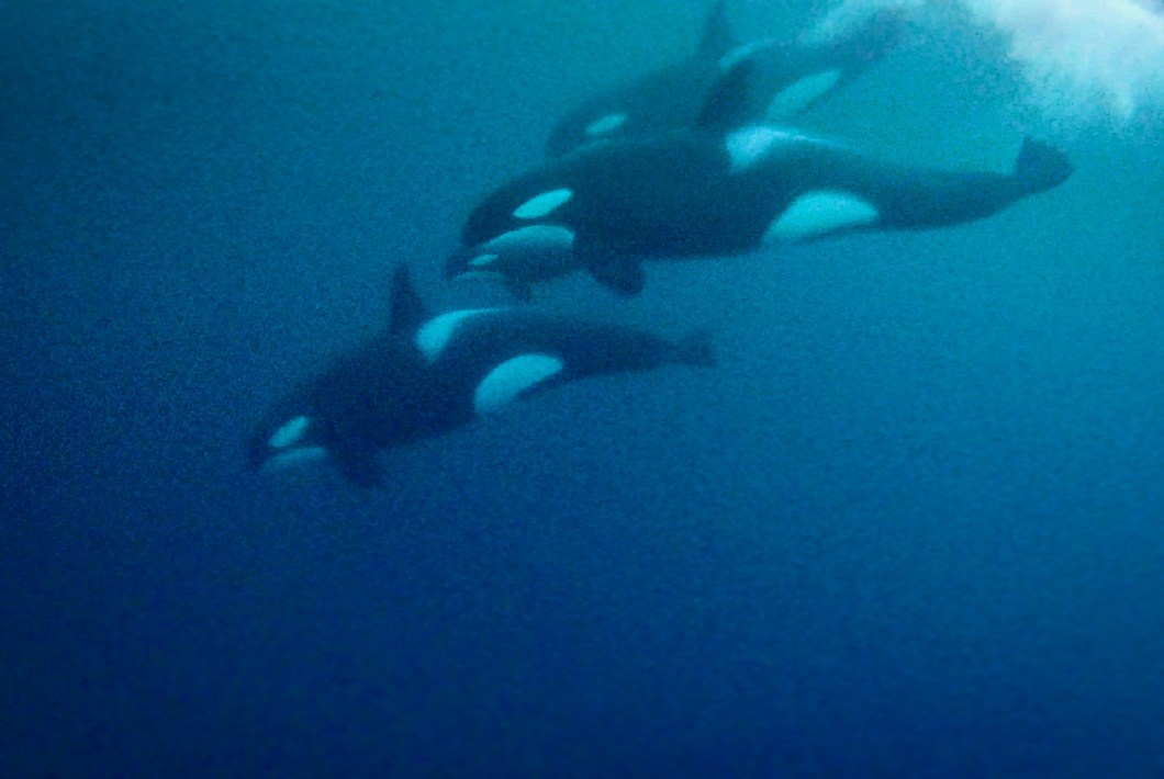 2BD524F0-4687-4B1C-AA0A-EACC4F2AA999