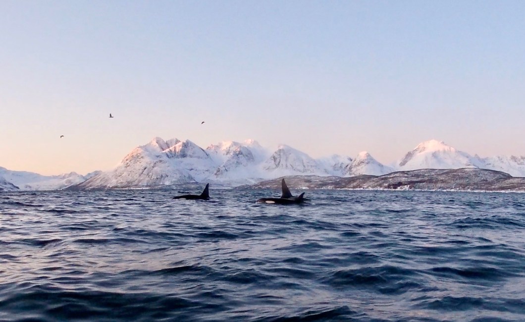 GPTempDownload 9.JPG